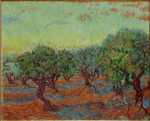 Olive Grove by Vincent van Gogh
